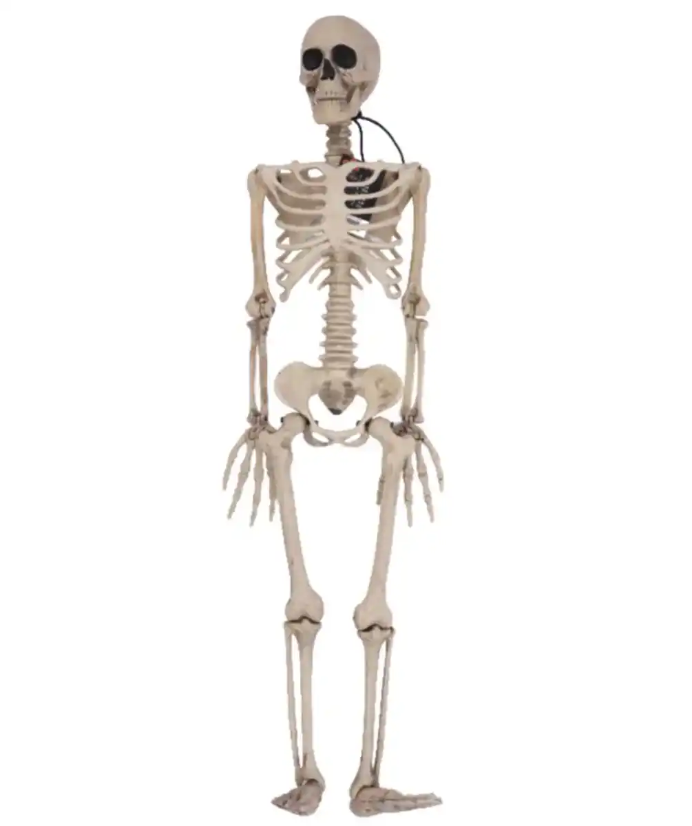 Bild 1 von Deko-Skelett Halloween, Beige