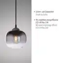 Bild 4 von Pendelleuchte ZEA, 1x E27/25 Watt max., Glas in Rauchfarben, Schwarz