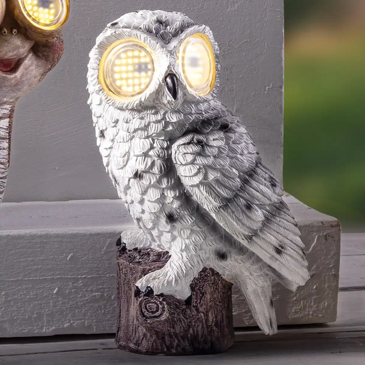 Bild 2 von LED Solar Tiere "Rolling Eyes"