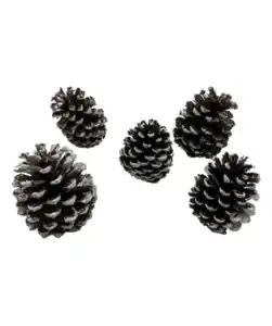 Tannenzapfen Weihnachten, weiĂź