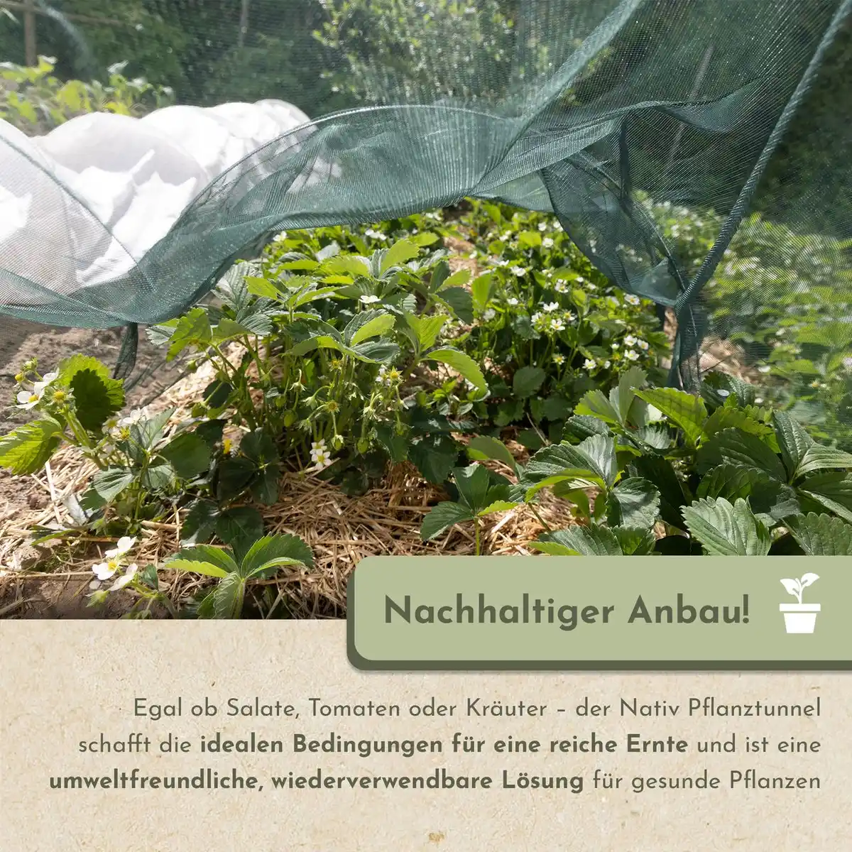 Bild 4 von Pflanztunnel mit Metallbögen, Gartentunnel 250x60x55cm, Netztunnel