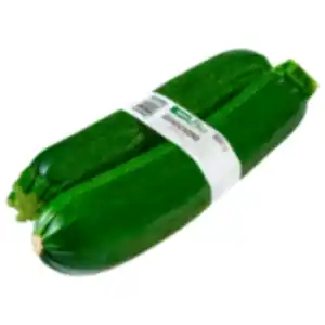 Bio Zucchini