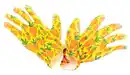 Bild 1 von Gartenhandschuhe