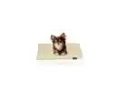 Bild 2 von ROHRSCHNEIDER Kuschelbett »Cozy«, waschbar