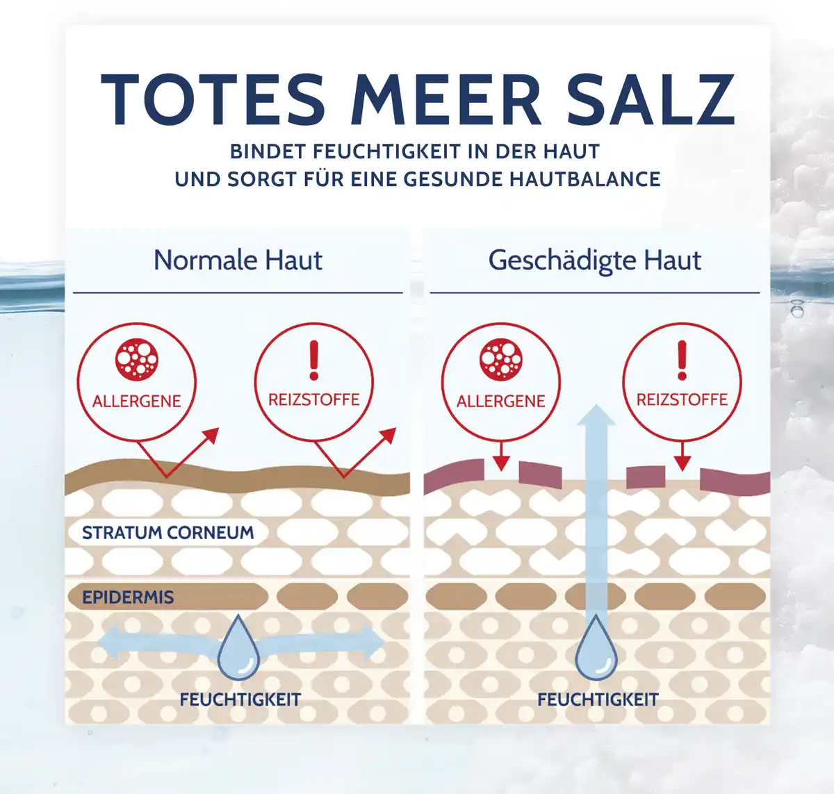 Bild 3 von Salthouse Pflegecreme juckende Haut, 75 ml