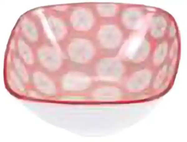 Bild 4 von Minischale