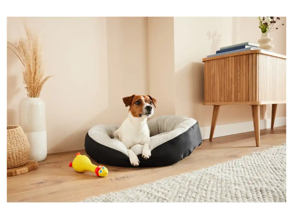 Bild 2 von zoofari® Hundebett, mit kuscheligem Plüsch