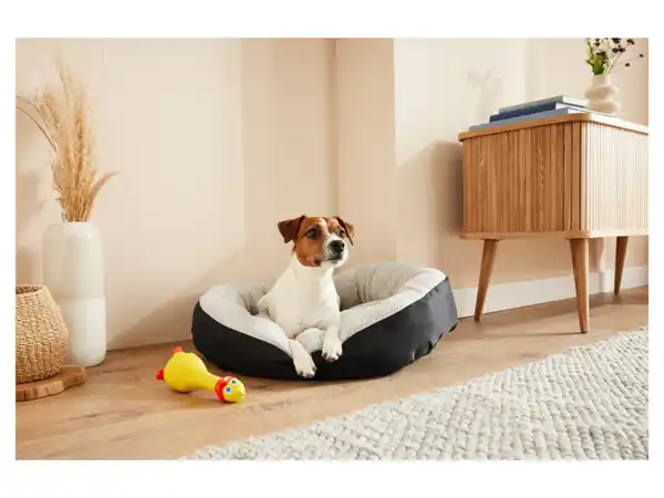 Bild 2 von zoofari® Hundebett, mit kuscheligem Plüsch