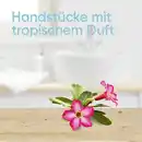 Bild 3 von Gillette Venus Einwegrasierer Tropical 3er