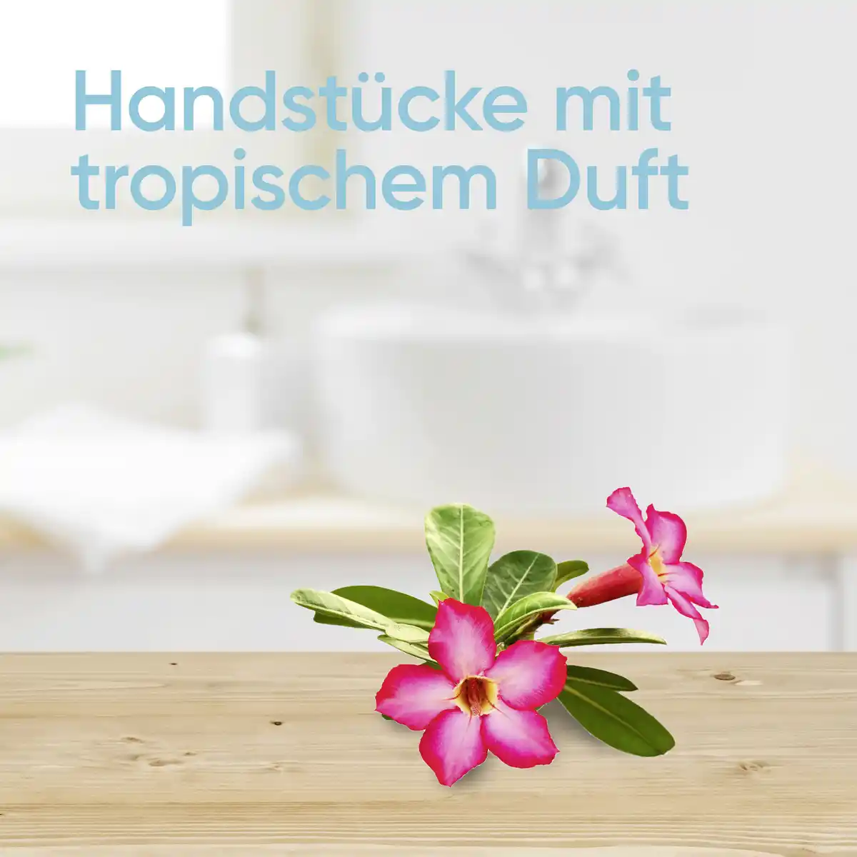 Bild 3 von Gillette Venus Einwegrasierer Tropical 3er