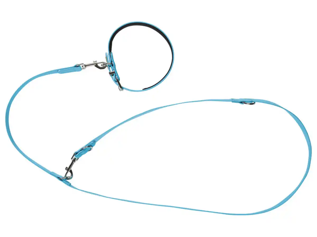 Bild 1 von zoofari® Hundehalsband und Leine, 3-fach verstellbar