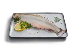 Deluxe Elsässer Saibling