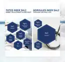 Bild 4 von Salthouse Totes Meer Therapie Pflegecreme, 75 ml