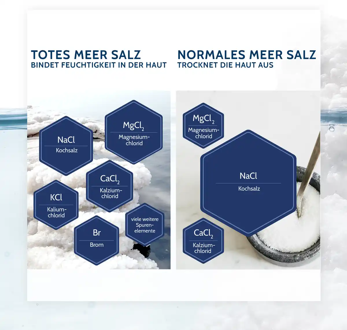 Bild 4 von Salthouse Totes Meer Therapie Pflegecreme, 75 ml