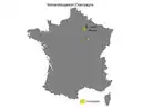 Bild 3 von Veuve Clicquot Yellow Label brut, Champagner