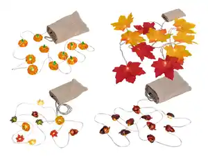 Livarno Home LED-Lichterkette