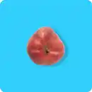 Bild 1 von   Plattpfirsiche, Ursprung: Spanien / Portugal / Italien