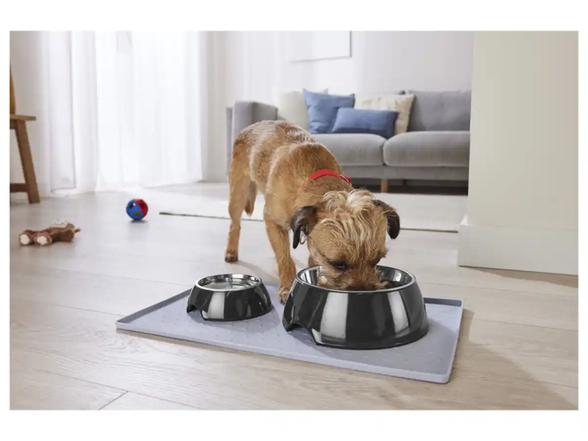 Bild 2 von zoofari® Futter- und Trinknapf / Napfunterlage