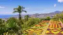 Bild 1 von Madeira Wanderreise - 4* Hotel Dom Pedro Madeira