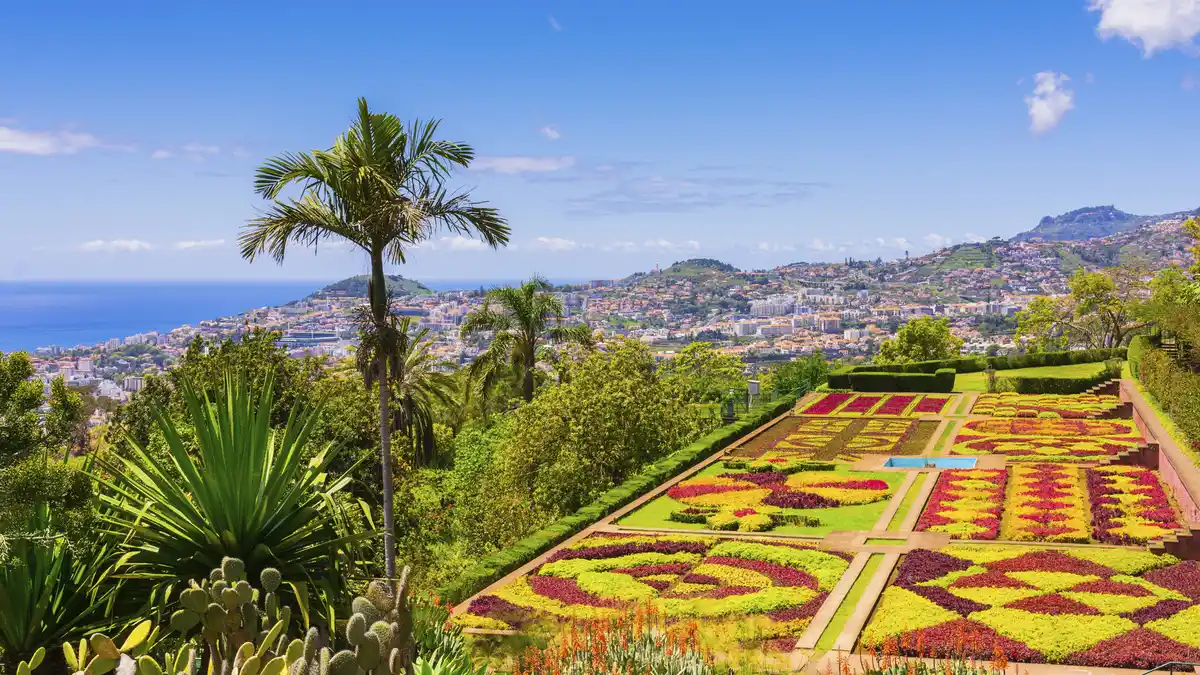 Bild 1 von Madeira Wanderreise - 4* Hotel Dom Pedro Madeira