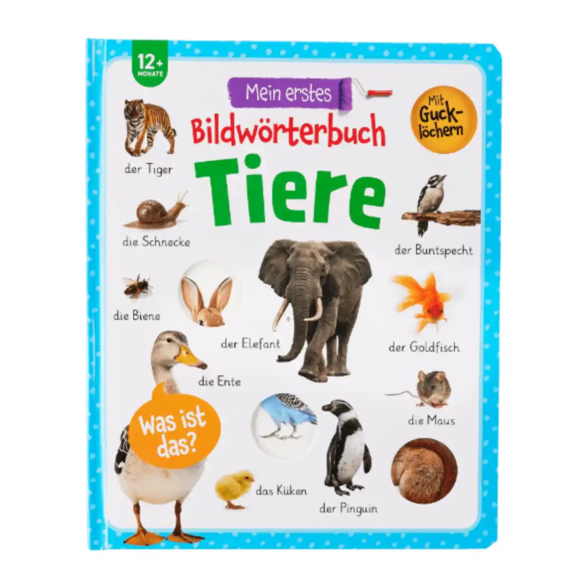 Bild 3 von Bilderwörterbuch / Lernbuch