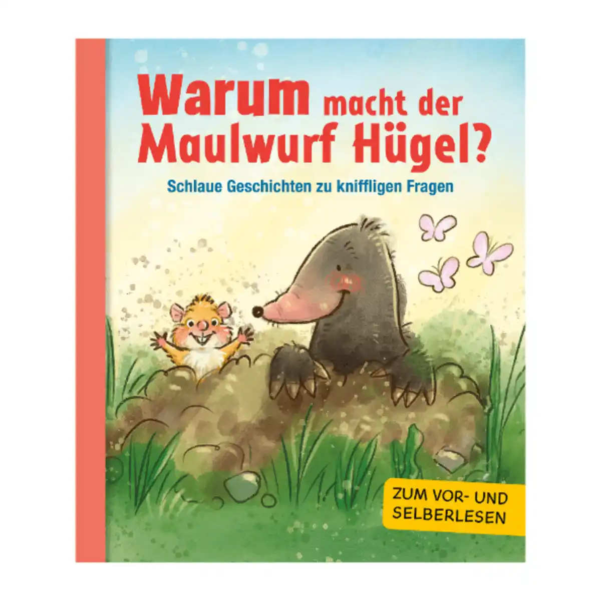 Bild 2 von Kinderwissen / Warum? – Schlaue Geschichten