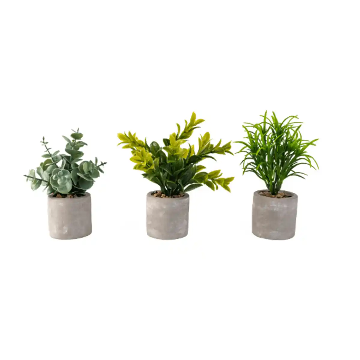 Bild 2 von HOME CREATION Künstliche Pflanzen