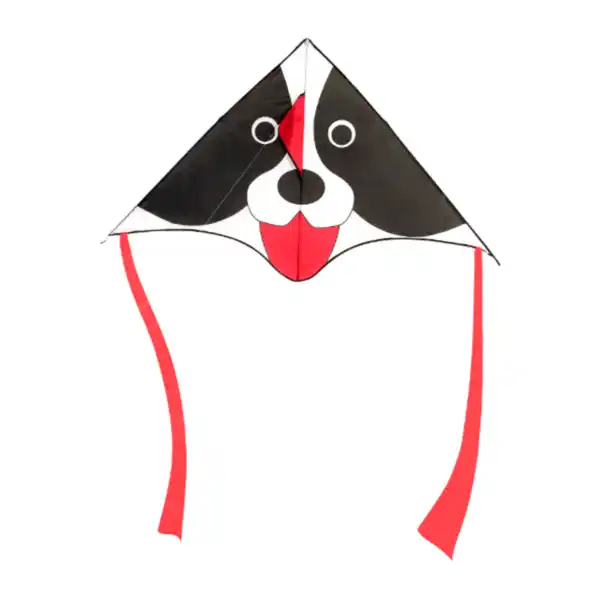 Bild 3 von CRANE Flug- / Lenkdrache