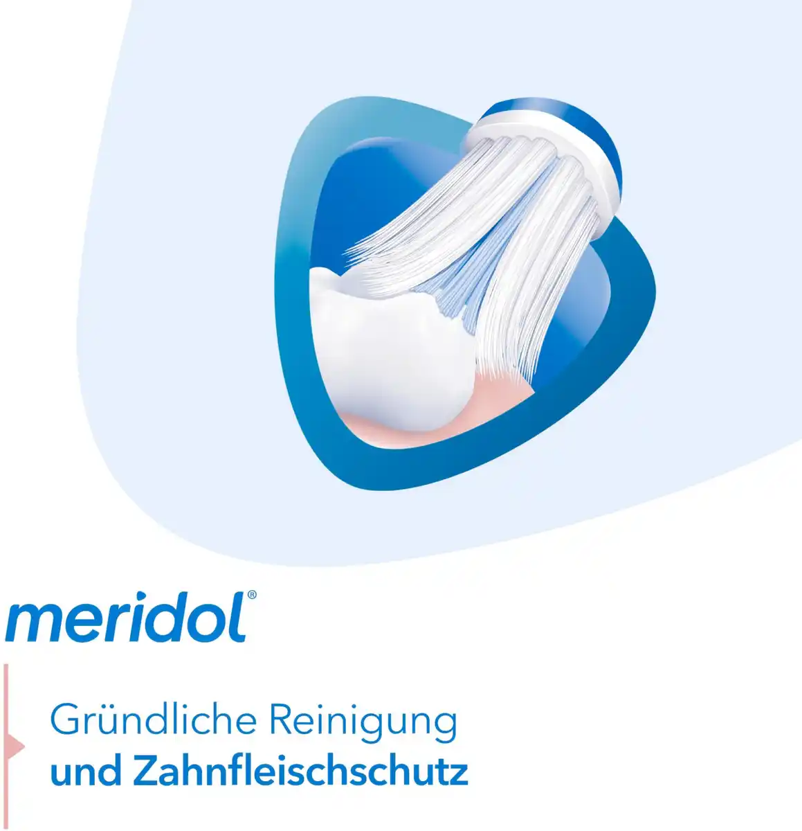 Bild 4 von meridol Gum Health Zahnbürste mittel