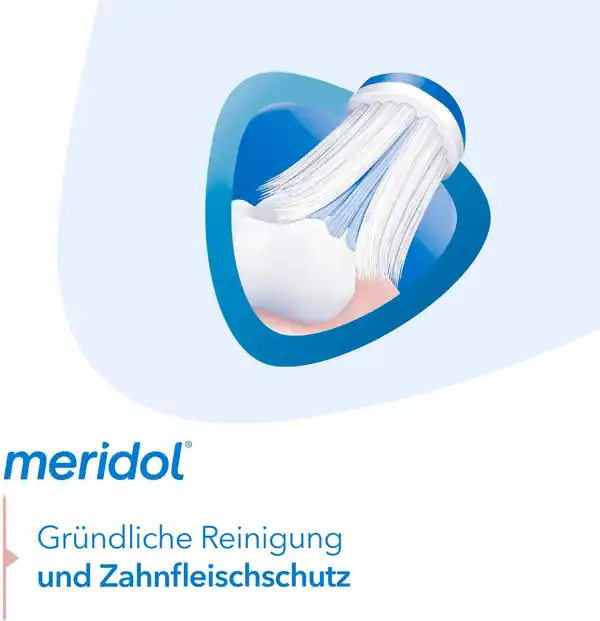 Bild 4 von meridol Gum Health Zahnbürste mittel