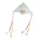 Bild 4 von CRANE Flug- / Lenkdrache