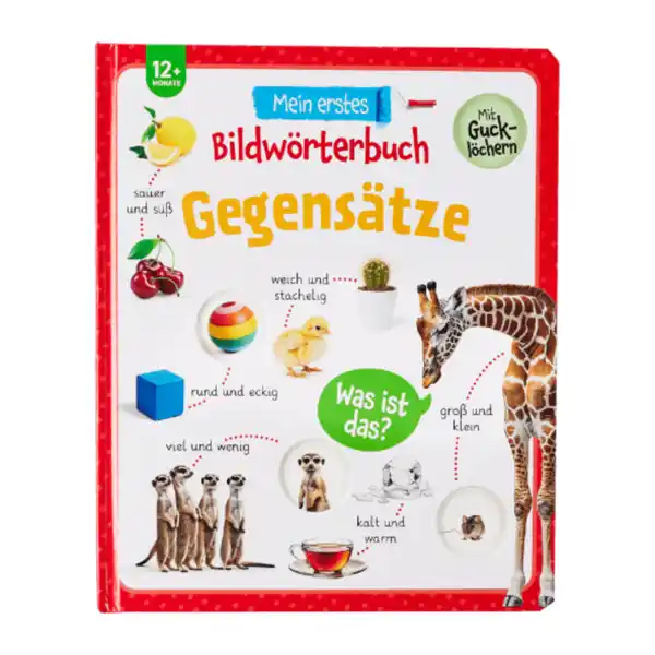 Bild 4 von Bilderwörterbuch / Lernbuch