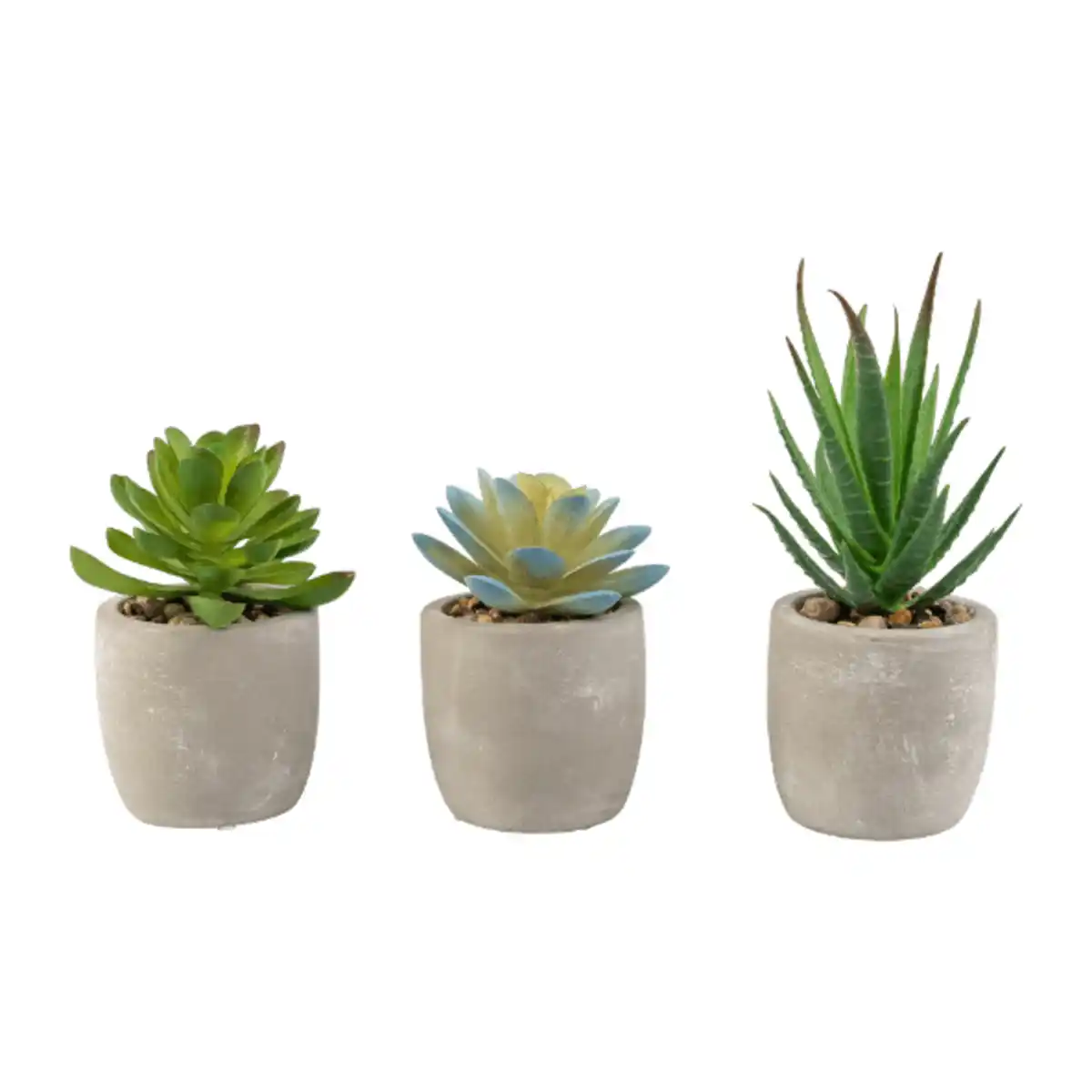 Bild 3 von HOME CREATION Künstliche Pflanzen