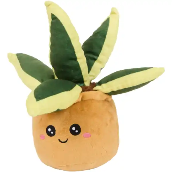 Bild 2 von Plüschpflanze im Topf