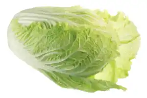 Chinakohl