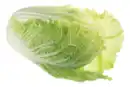 Bild 1 von Chinakohl
