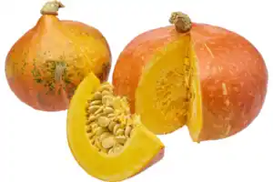 Hokkaido Kürbis