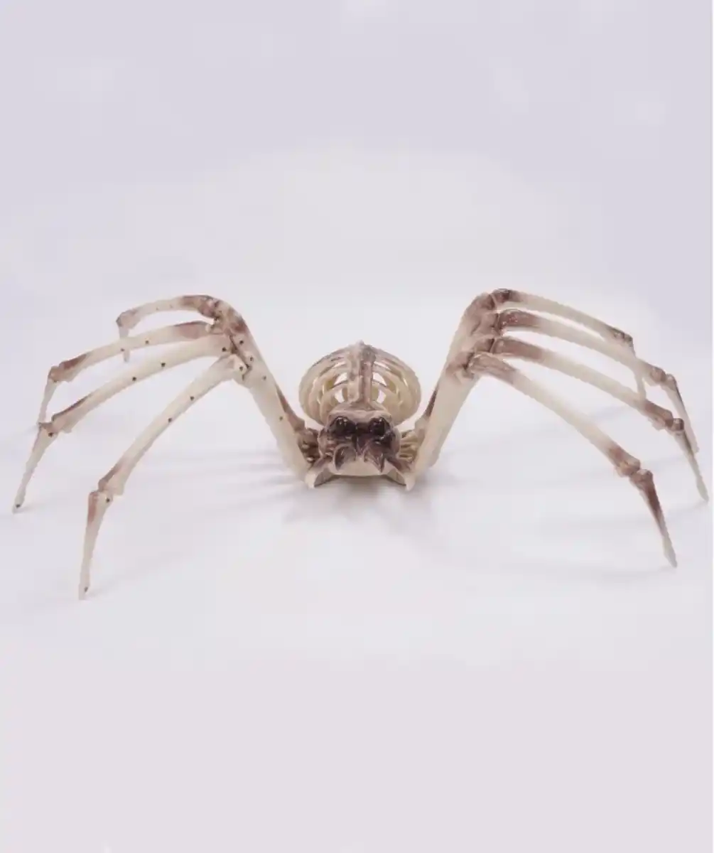 Bild 1 von Deko-Spinne Halloween, Beige