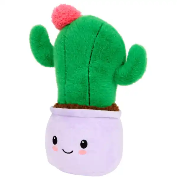 Bild 4 von Plüschpflanze im Topf