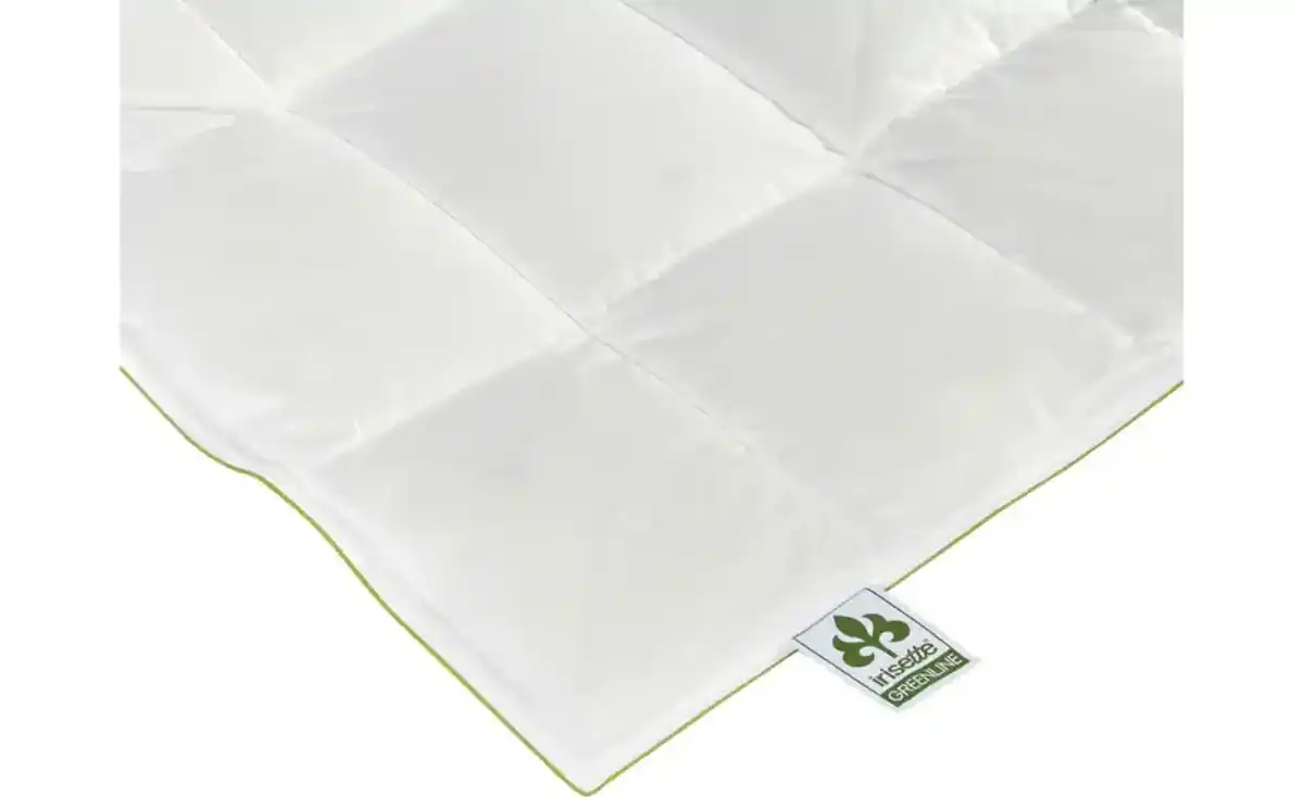 Bild 3 von IRISETTE Daunendecke Ultra Leicht Greenline Daunen