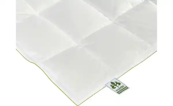 Bild 3 von IRISETTE Daunendecke Ultra Leicht Greenline Daunen