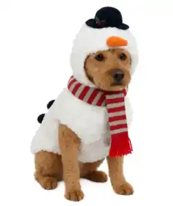 HundekostĂĽm Weihnachten, weiĂź