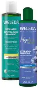 Shampoo oder Spülung