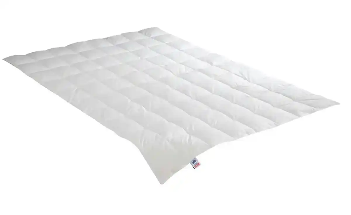 Bild 1 von IRISETTE Leicht-Daunensteppbett Irisette NORA