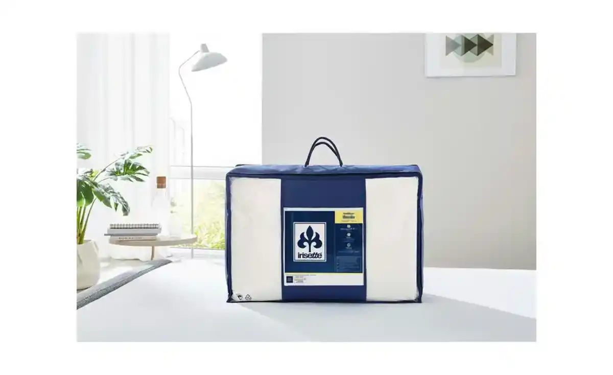 Bild 2 von IRISETTE Leicht-Daunensteppbett Irisette NORA