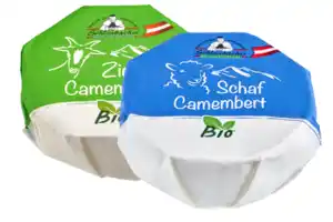 Ziegen- oder Schafcamembert
