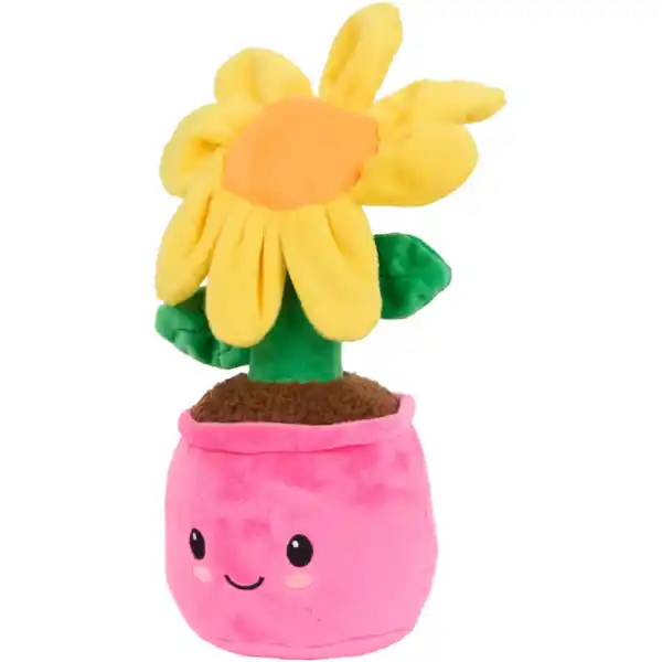 Bild 3 von Plüschpflanze im Topf