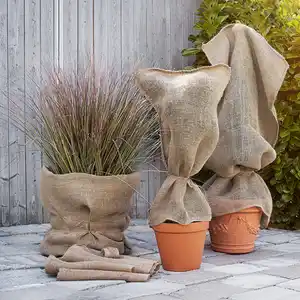 Powertec Garden XL-Jute-Winter-Pflanzenschutz