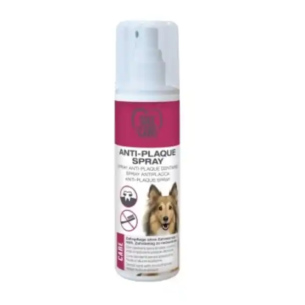 Bild 1 von TAKE CARE Anti-Plaque Spray 125ml