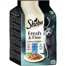 Bild 1 von Sheba Fresh & Fine Nassfutter Katze Adult, Multipack, in Sauce 36x50 g Lachs, Thunfisch und Forelle